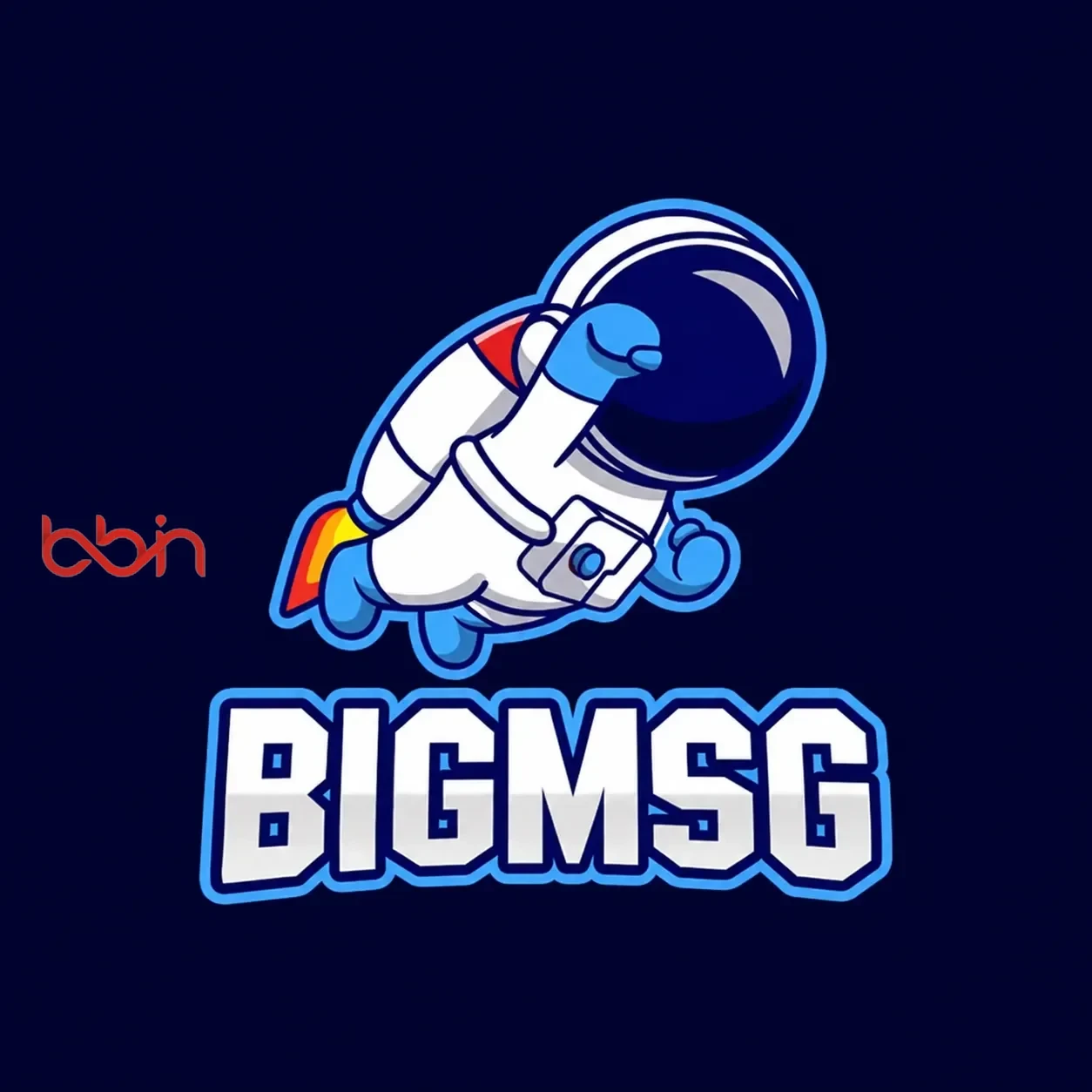Logo bigmsg